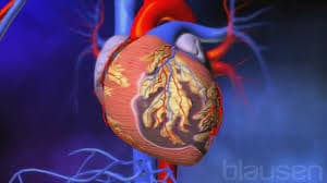 Médica Especialista em Cardio Oncologia Imagem