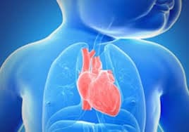 Médica Especialista em Tratamento para Dislipidemia