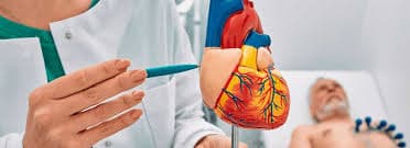 Médica Especialista no Tratamento do Infarto